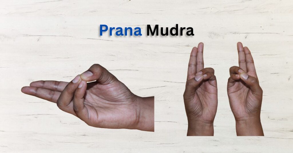 Prana Mudra by Yoganta