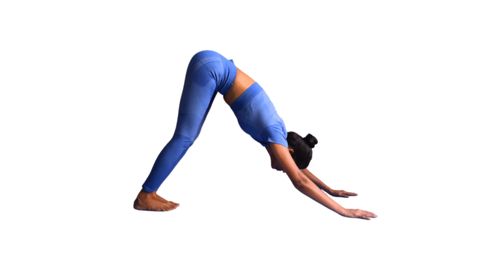 Parvatasana - Downward facing dog a female yoganta yoga teacher is in Downward-Facing Dog (Adho Mukha Svanasana)