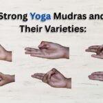 Varities of Yoga Mudras Showing By yoganta teachers