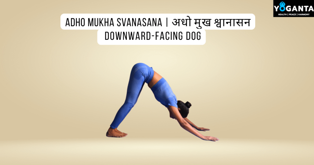 Downward-Facing Dog pose practised by Yoganta Teacher 