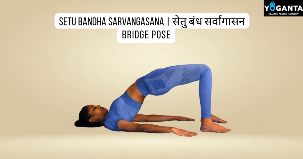 Bridge Pose practised by Yoganta Teacher