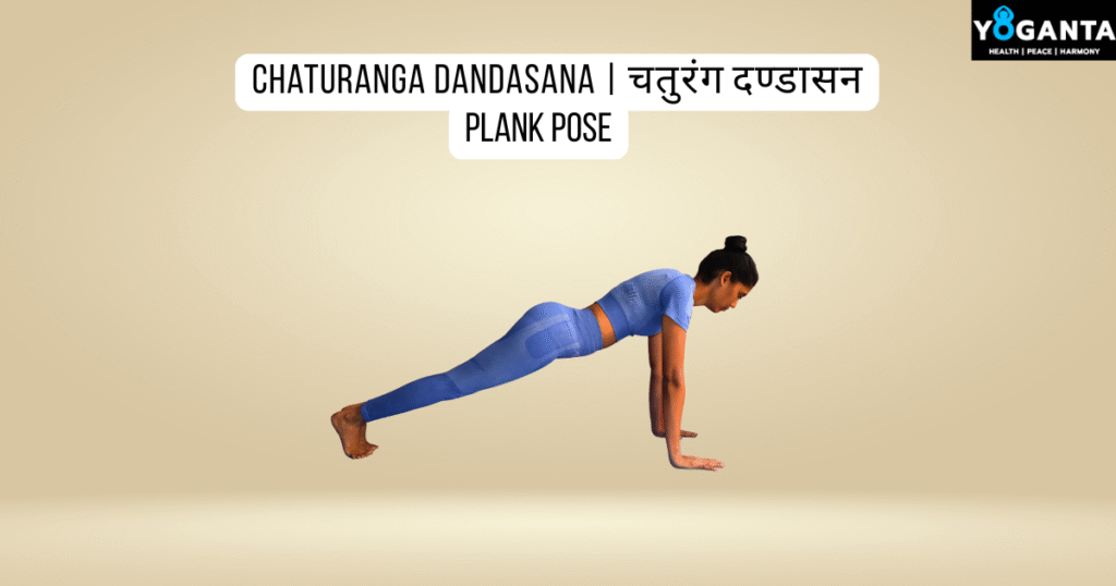  Plank Pose Chaturanga Dandasana | चतुरंग दण्डासन pose practised by yoganta teacher 