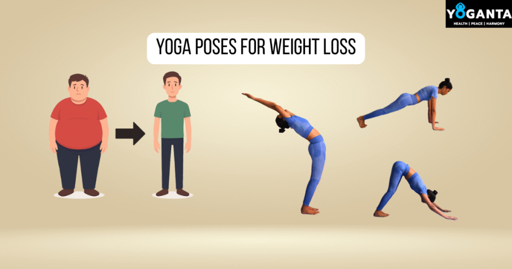 Yoga poses for weight loss practised by yoganta teacher 